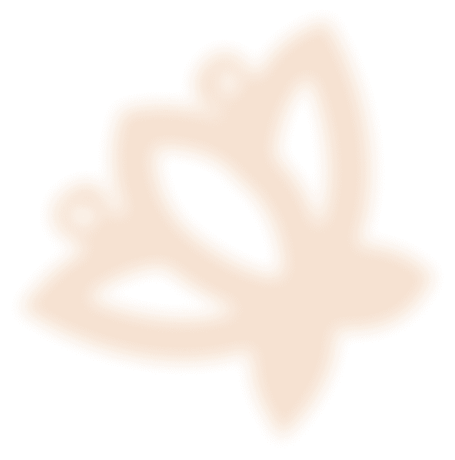 Kupu-Kupu